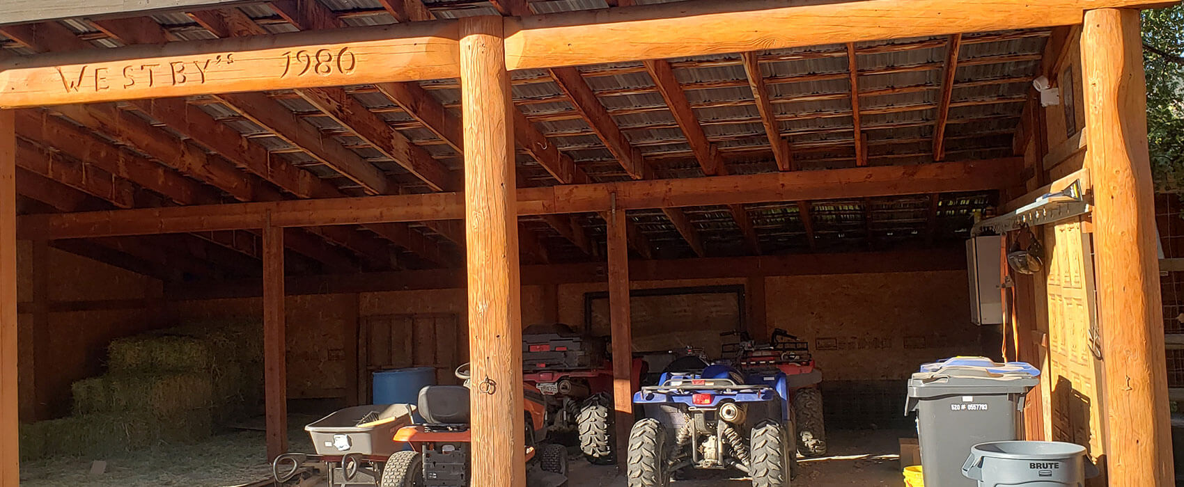 The ultimate guide to timber frame construction with Raw Timber Design